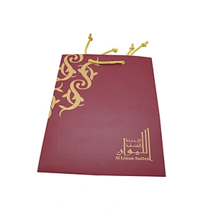 Custom Eco-Friendly Wholesale Special Design Paper Bags with Handles