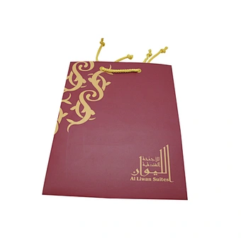 Custom Eco-Friendly Wholesale Special Design Paper Bags with Handles