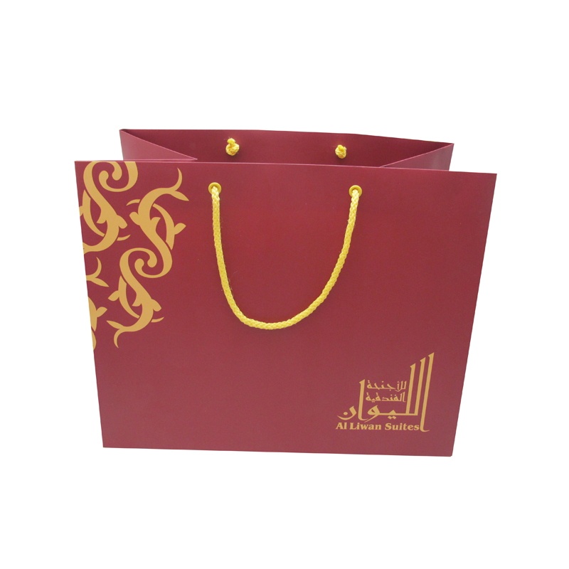 Custom Eco-Friendly Wholesale Special Design Paper Bags with Handles